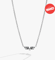 Alex and Ani Hot Wheels Checkered Flag Necklace