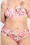  Sweet Pink Rosy Passions Print