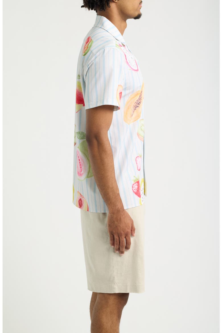 Freshly Picked Weekend Camp Shirt, Alternate, color, BLUE