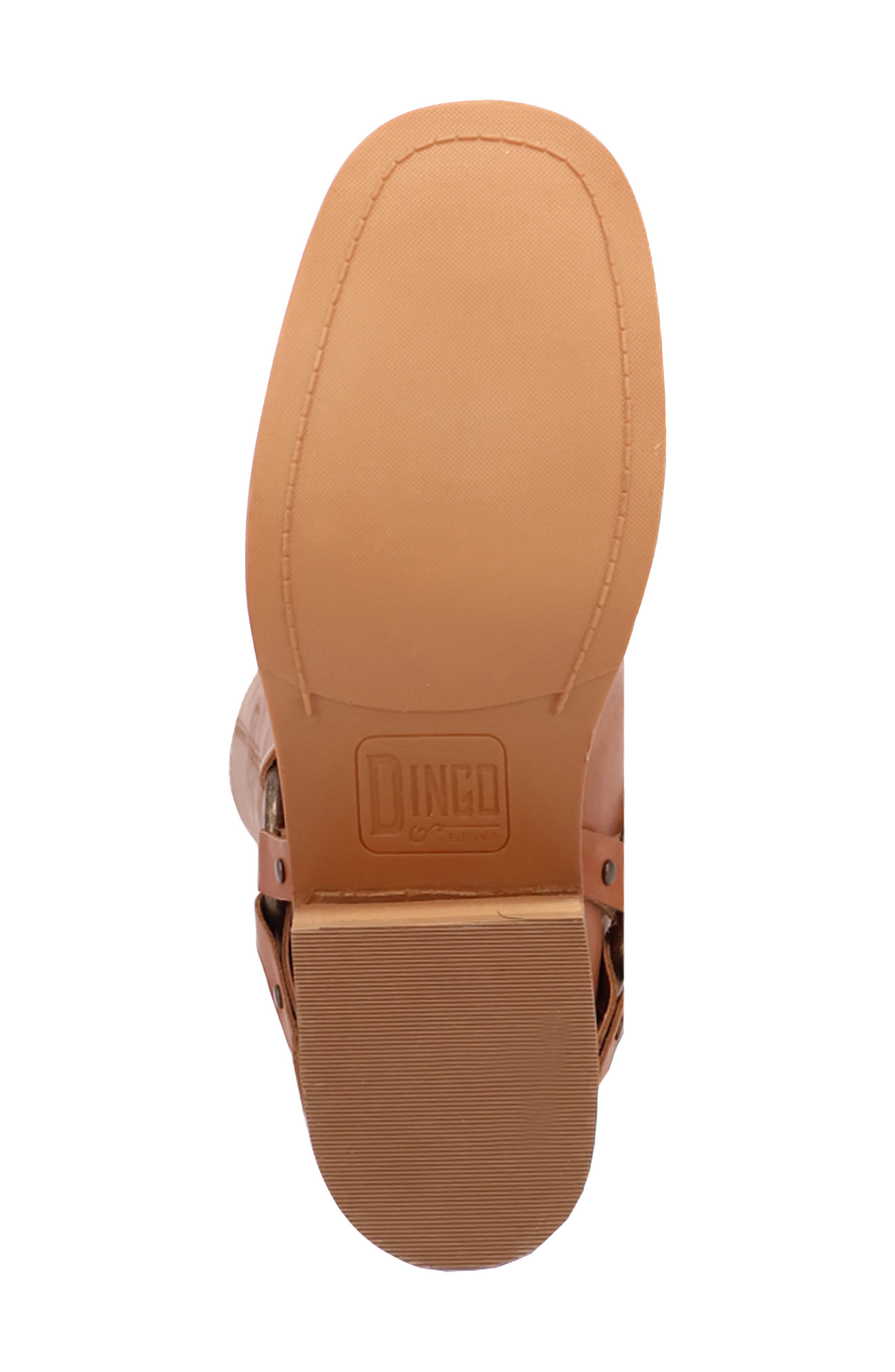 Dingo Casbah Knee High Boot, Alternate, color, Tan