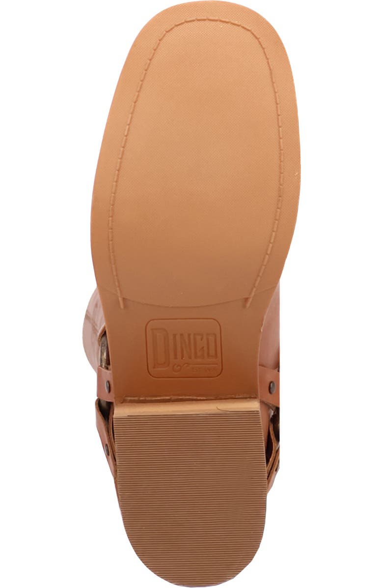 Dingo Casbah Knee High Boot, Alternate, color, Tan