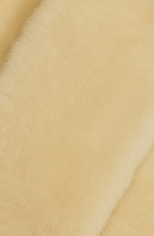 Totême Toteme Genuine Shearling Tuxedo Scarf In Gold