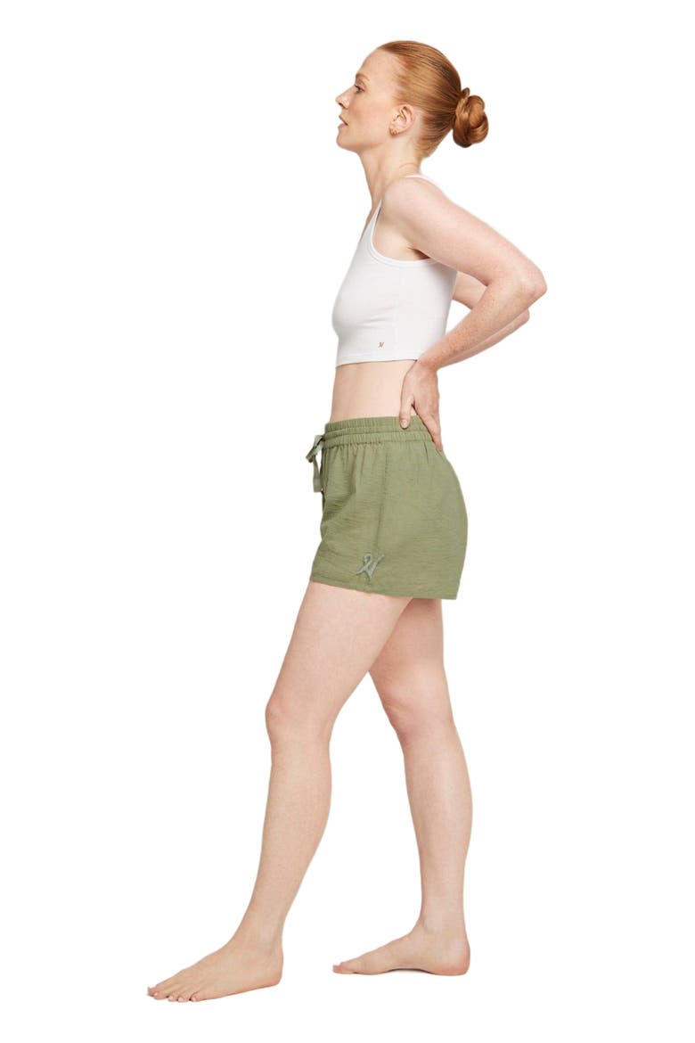 The Classic Boxer, Alternate, color, Sage