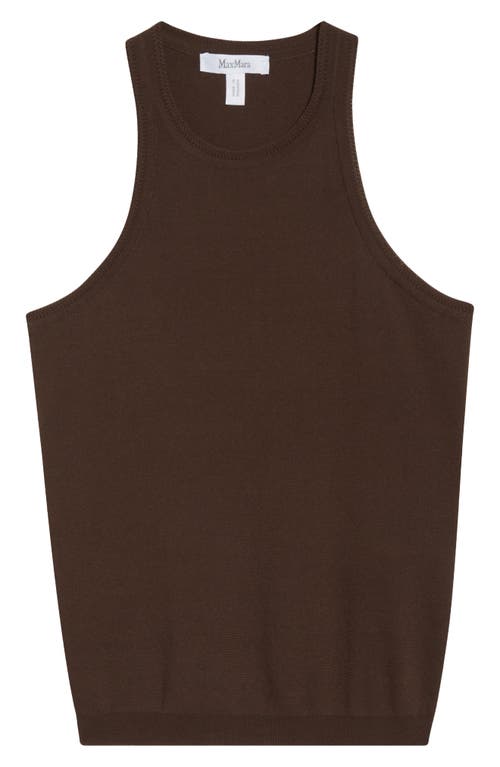 Max Mara Arnes Sweater Tank In Brown
