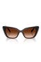  Transparent Brown / Brown