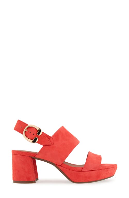 AEROSOLES AEROSOLES CAMERA PLATFORM SANDAL 