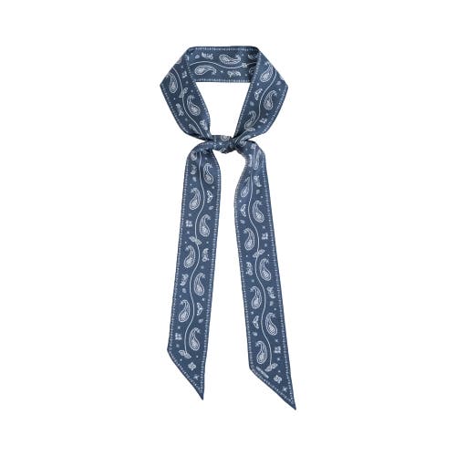 Lost Pattern Nyc "paisley" Silk Twill Skinny Scarf In Blue