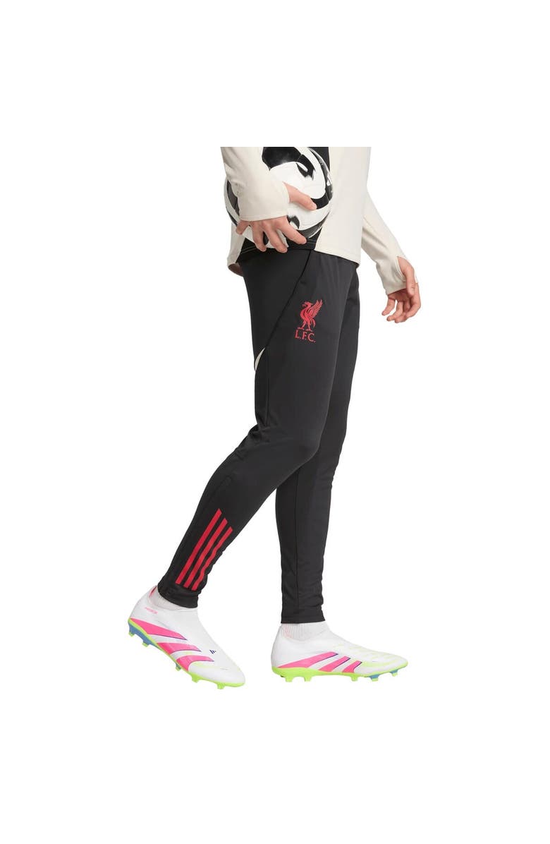 adidas Men's adidas Black Liverpool 2025/26 AEROREADY Training Pants, Alternate, color, Black