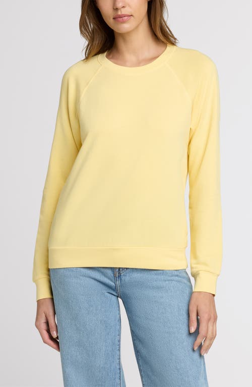 The Standard Stitch The Raglan Sweatshirt In White