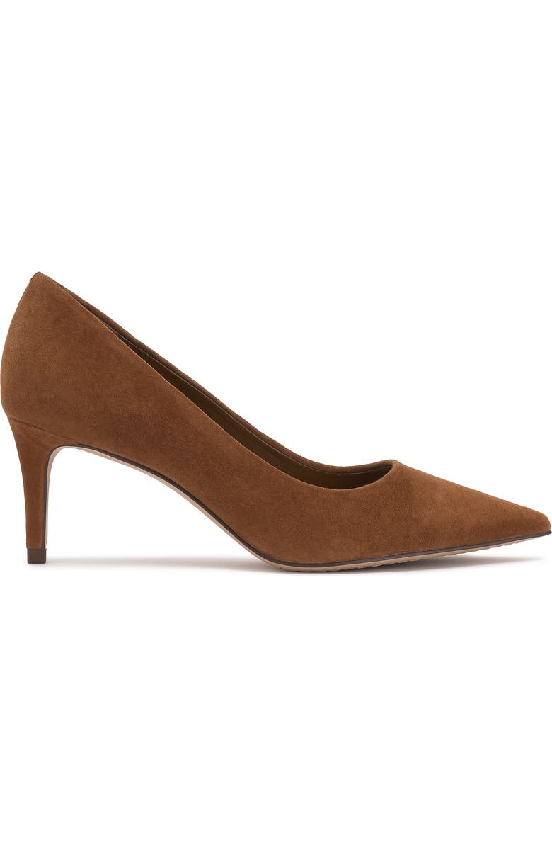 Vince Camuto Kehlia Pointed Toe Pump, Alternate, color, Burnt Sugar Torsue