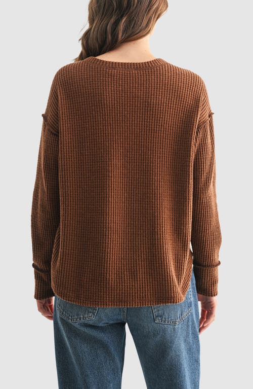 All In Favor All In Brown