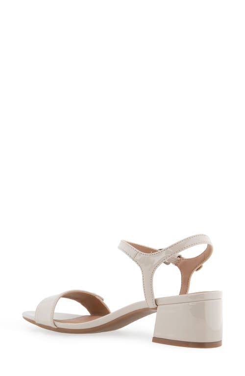 AEROSOLES AEROSOLES CAIRO BLOCK HEEL SANDAL 