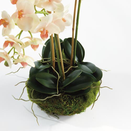Napa Home & Garden Phalaenopsis Mini Garden Artificial Plant Drop-in In Green