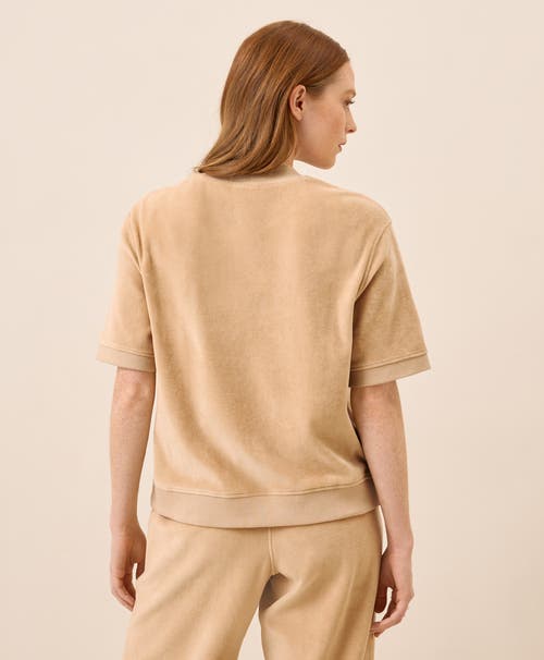 Pact Organic Cotton Pure Velour Sweatshirt Tee In Brown