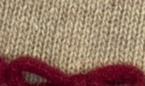 Portolano Bow Trim Scarf In Brown