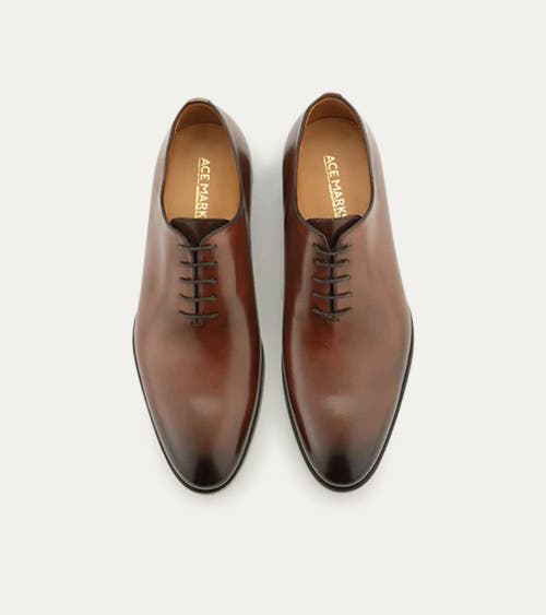 Ace Marks Carlo Wholecut Oxford In Brown