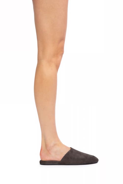 Black Suede Studio Shiloh Mule In Brown