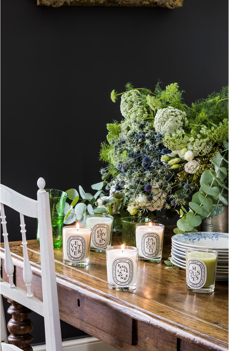 Diptyque Feuille de Lavande (Lavender Leaf) Scented Candle, Alternate, color,