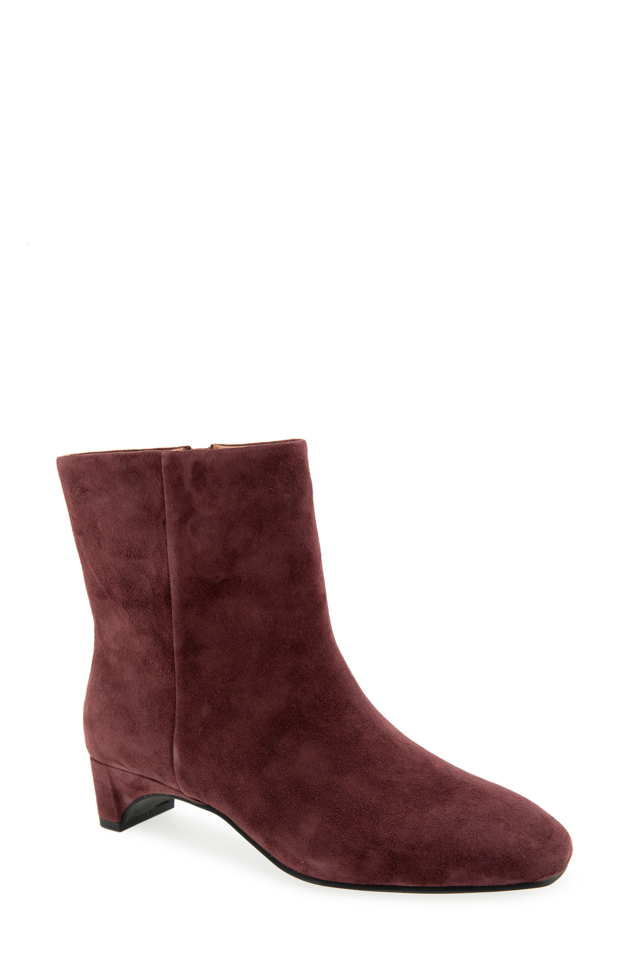ANDORRA SUEDE
