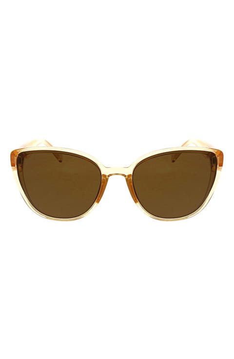 Medium Plastic Cat-Eye Sunglasses