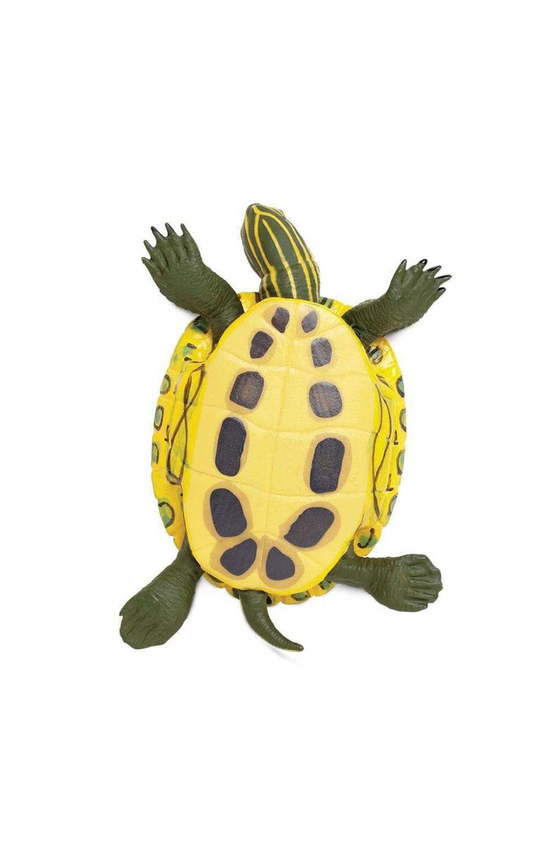 Safari Ltd. Red-Eared Slider Turtle Toy, Alternate, color, NO COLOR