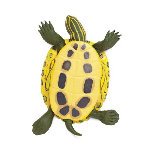 SAFARI LTD. SAFARI LTD. RED-EARED SLIDER TURTLE 