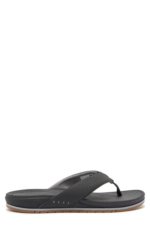 Reef Cushion Bonzer