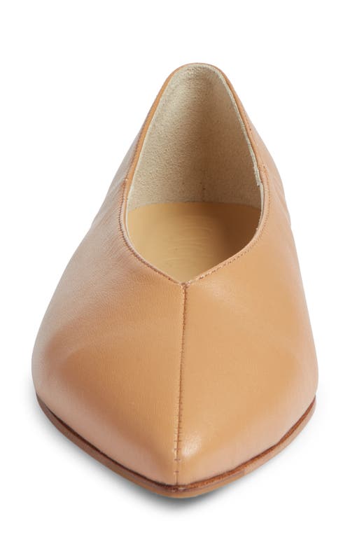 Aeyde Pointed-toe Leather Ballerina In Brown