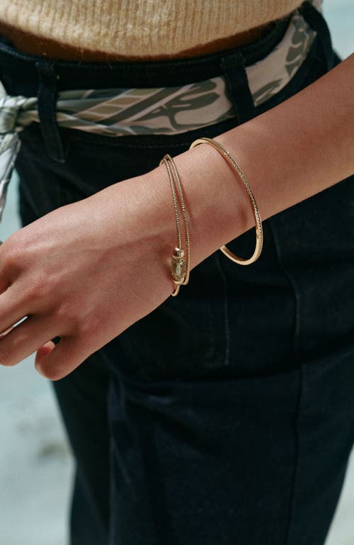 Rc Retro Chic Nut Fairy Bracelets Set In Gold