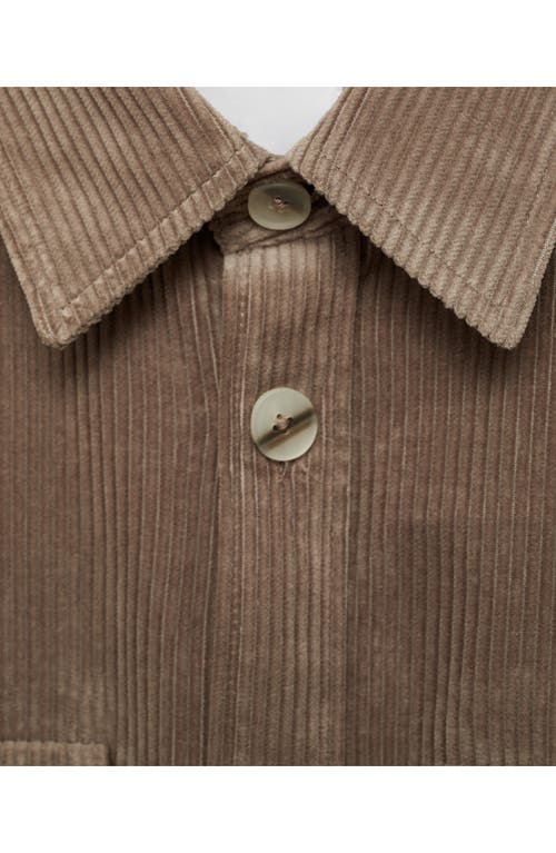 Mango Regular Fit Corduroy Overshirt In Mink Grey