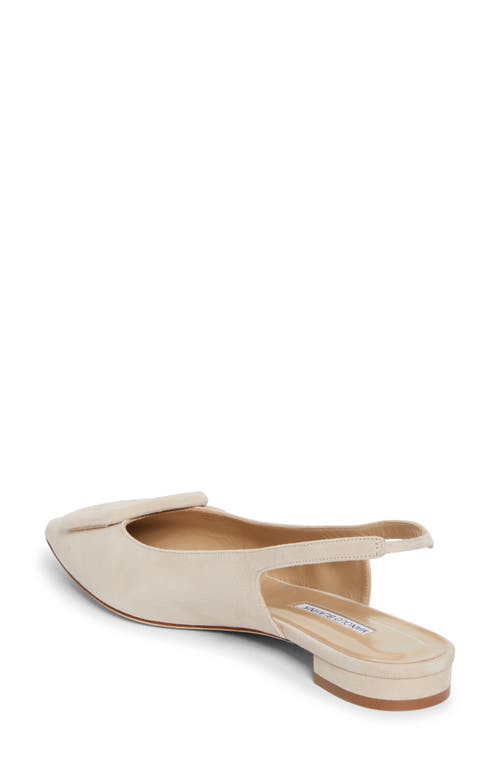 Manolo Blahnik Maylura Buckle Pointed Toe Slingback Flat