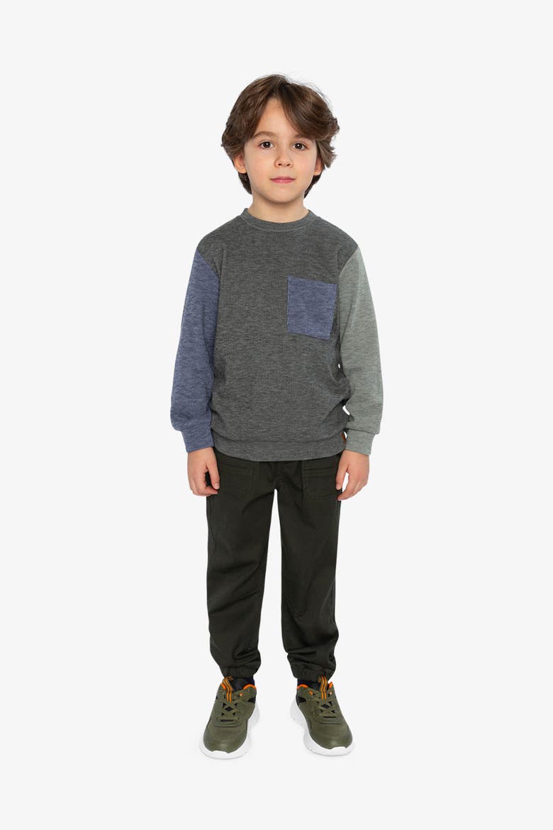 Colorblock Crew Neckline Jersey Top with Chest Pocket, Alternate, color, Pig Brown