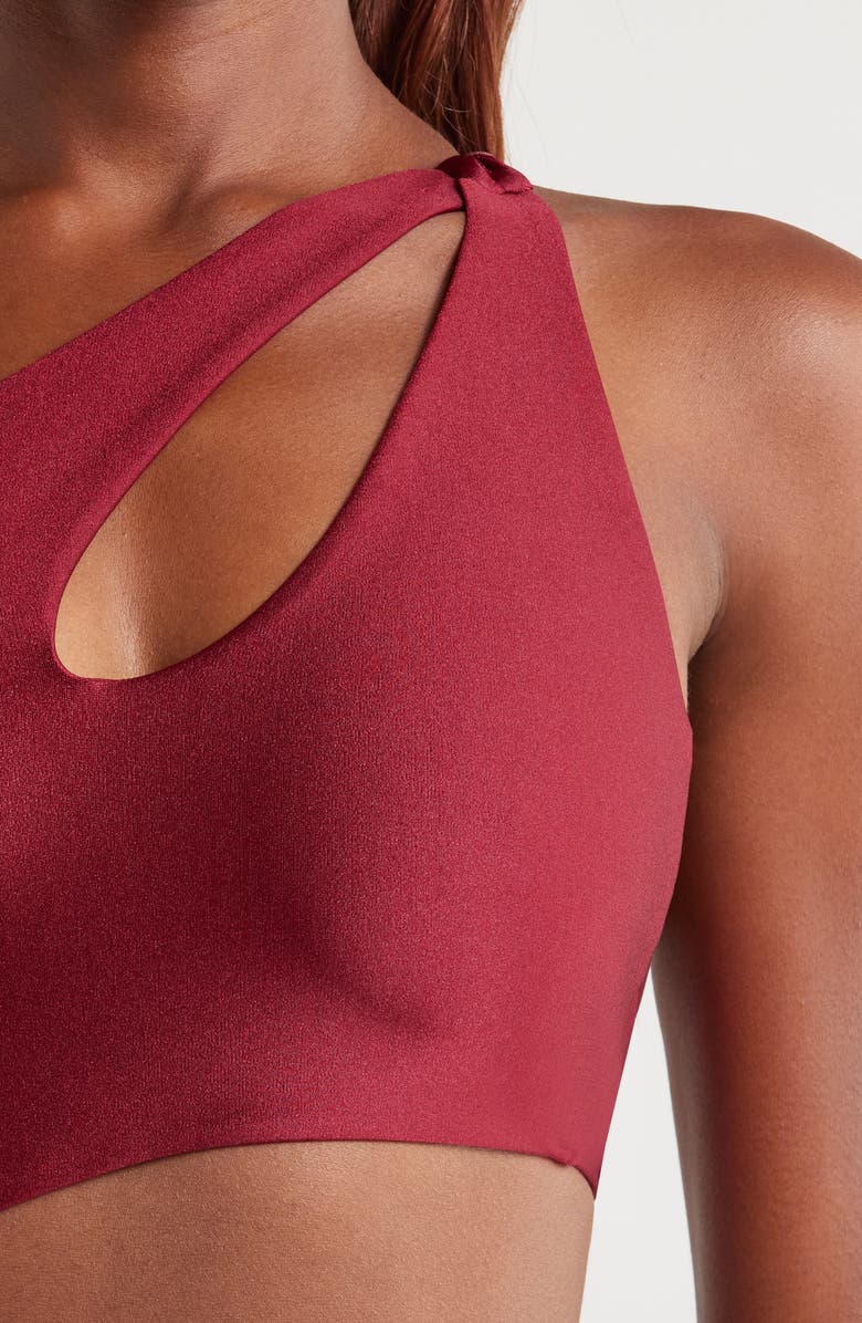 BOAMAR Etro One-Piece Swimsuit, Alternate, color, Wine