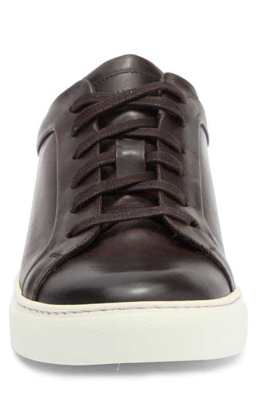 To Boot New York Mesa Low Top Sneaker In Brown