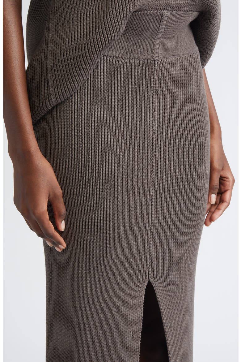 Concordian Sliced Wool Knit Skirt, Alternate, color, DARKDUST
