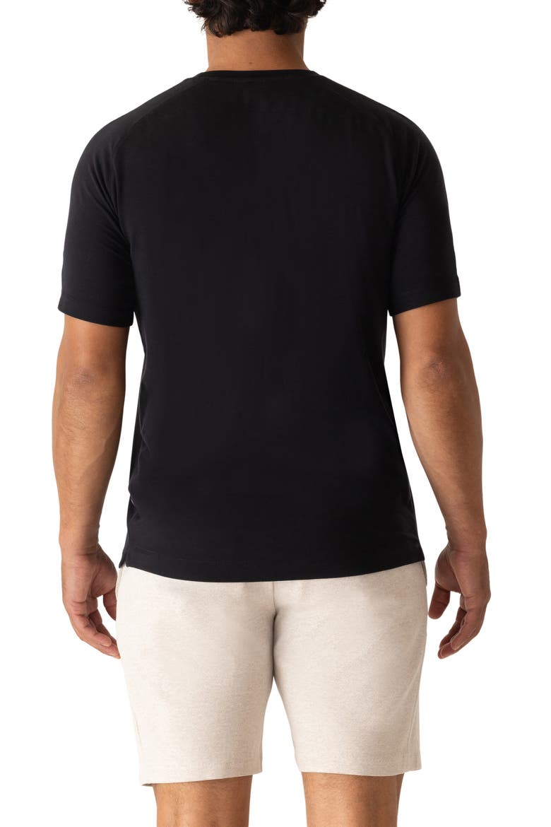 Raglan Sleeve T-Shirt, Alternate, color, BLACK