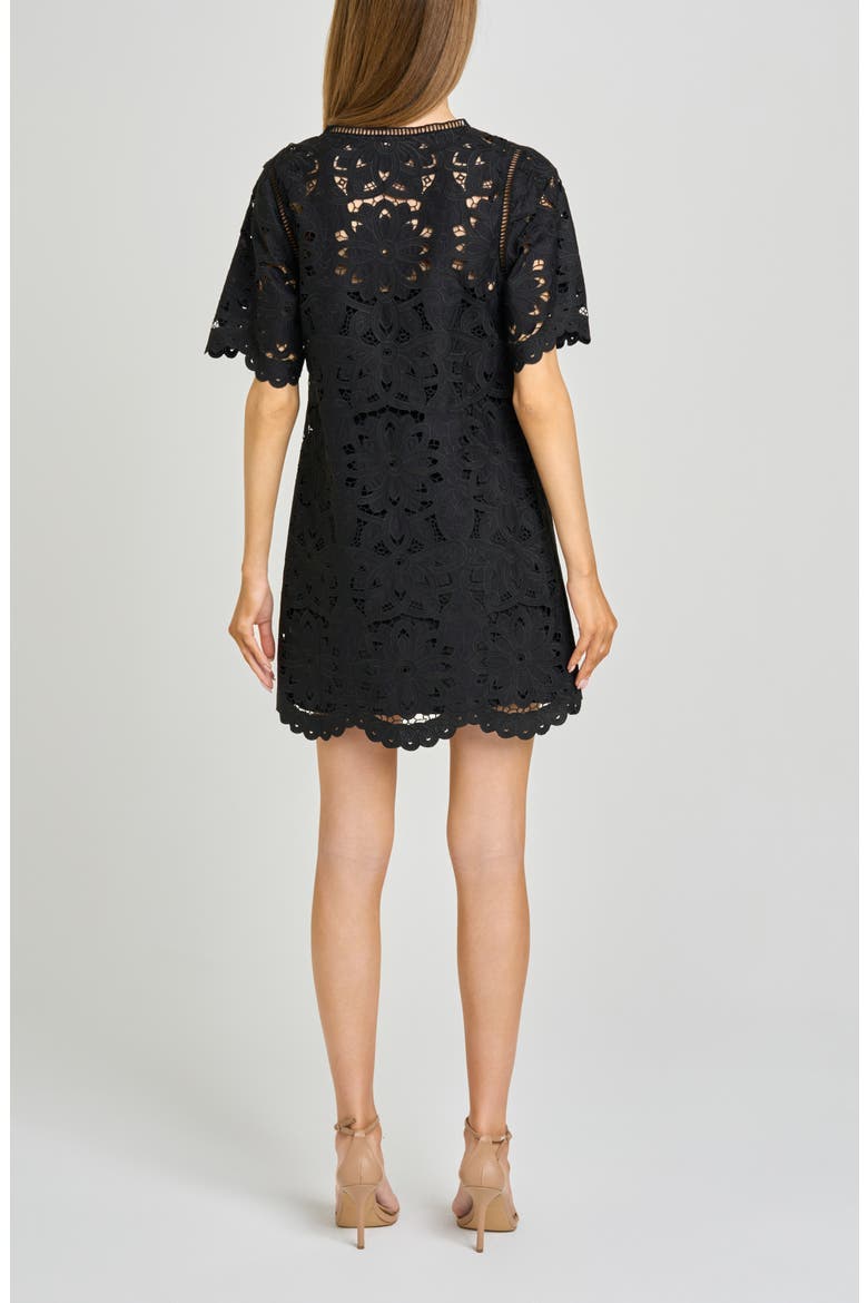 Kenzie Floral Embroidered Ladder Stitch Minidress, Alternate, color, BLACK