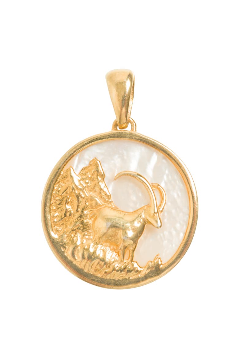 Zodiac Pendant, Main, color, Capricorn