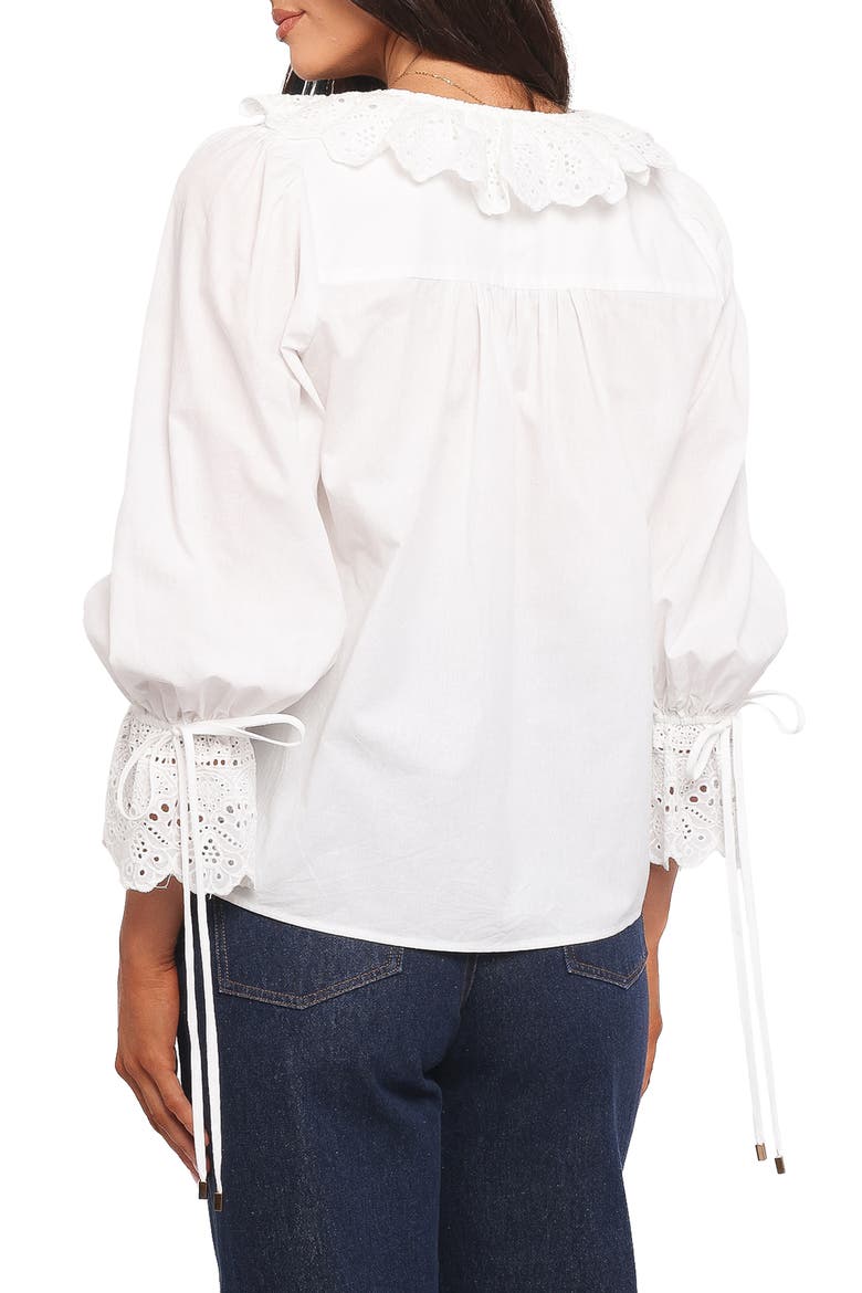 Aelwen Eyelet Trim Cotton Top, Alternate, color, WHITE EMBROIDERY