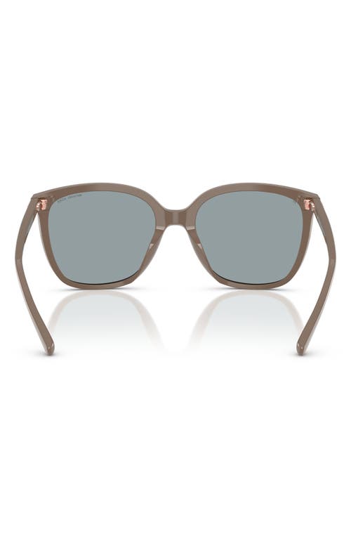 Michael Kors 57mm Gradient Cat Eye Sunglasses In Brown