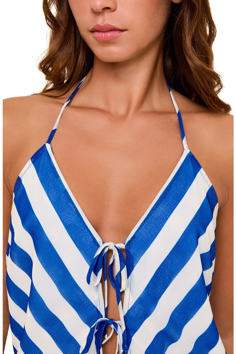 The Colette Reversible Cover-Up Halter Top, Alternate, color, BLUE STRIPE / DOT