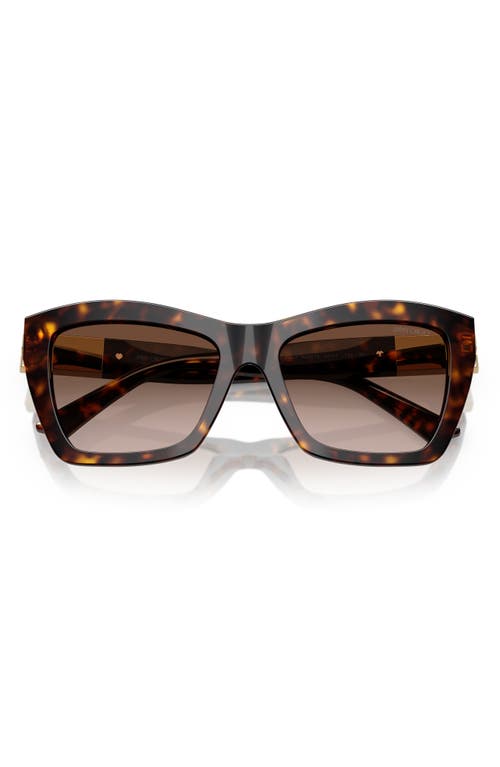 Jimmy Choo 54mm Cat Eye Sunglasses In Havana