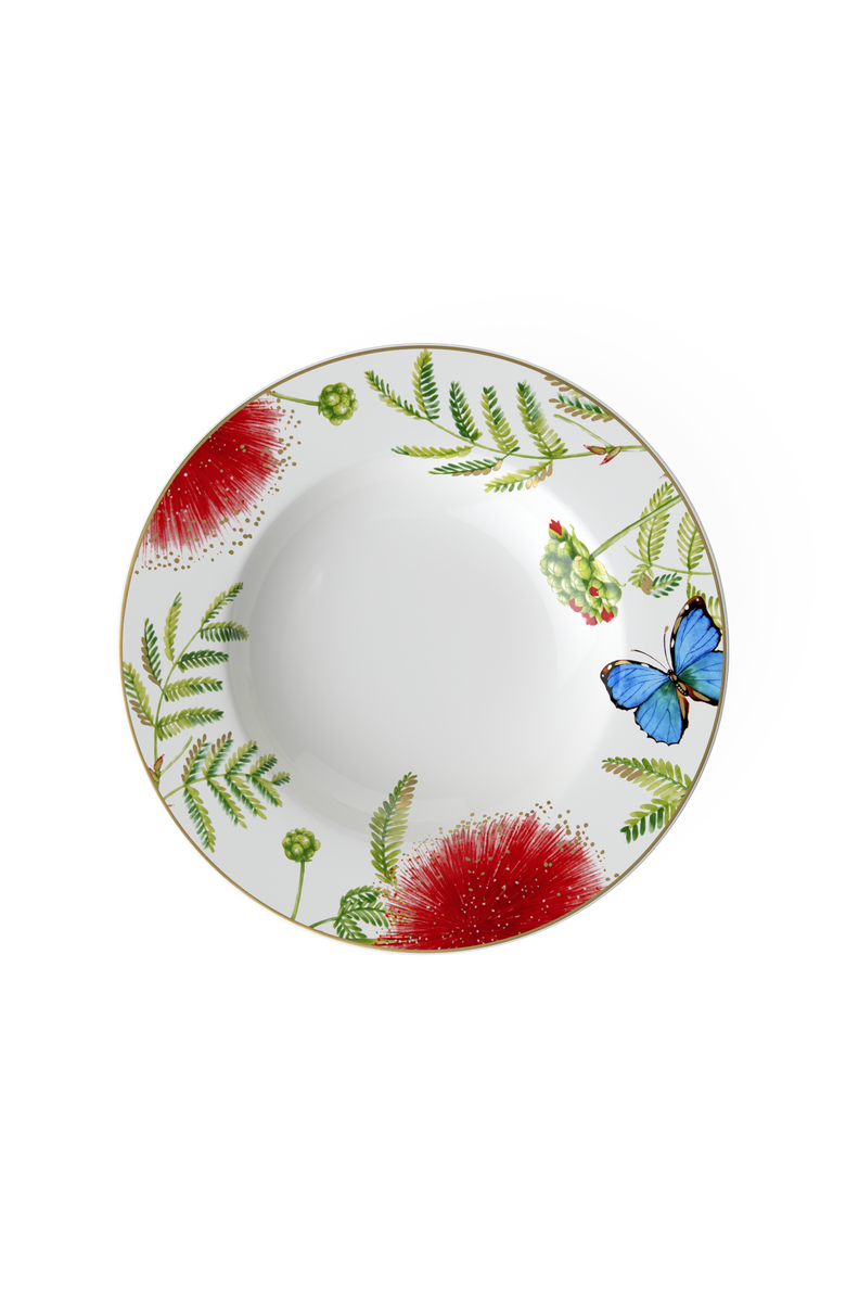 Villeroy & Boch Amazonia Anmut Rim Soup, Main, color,