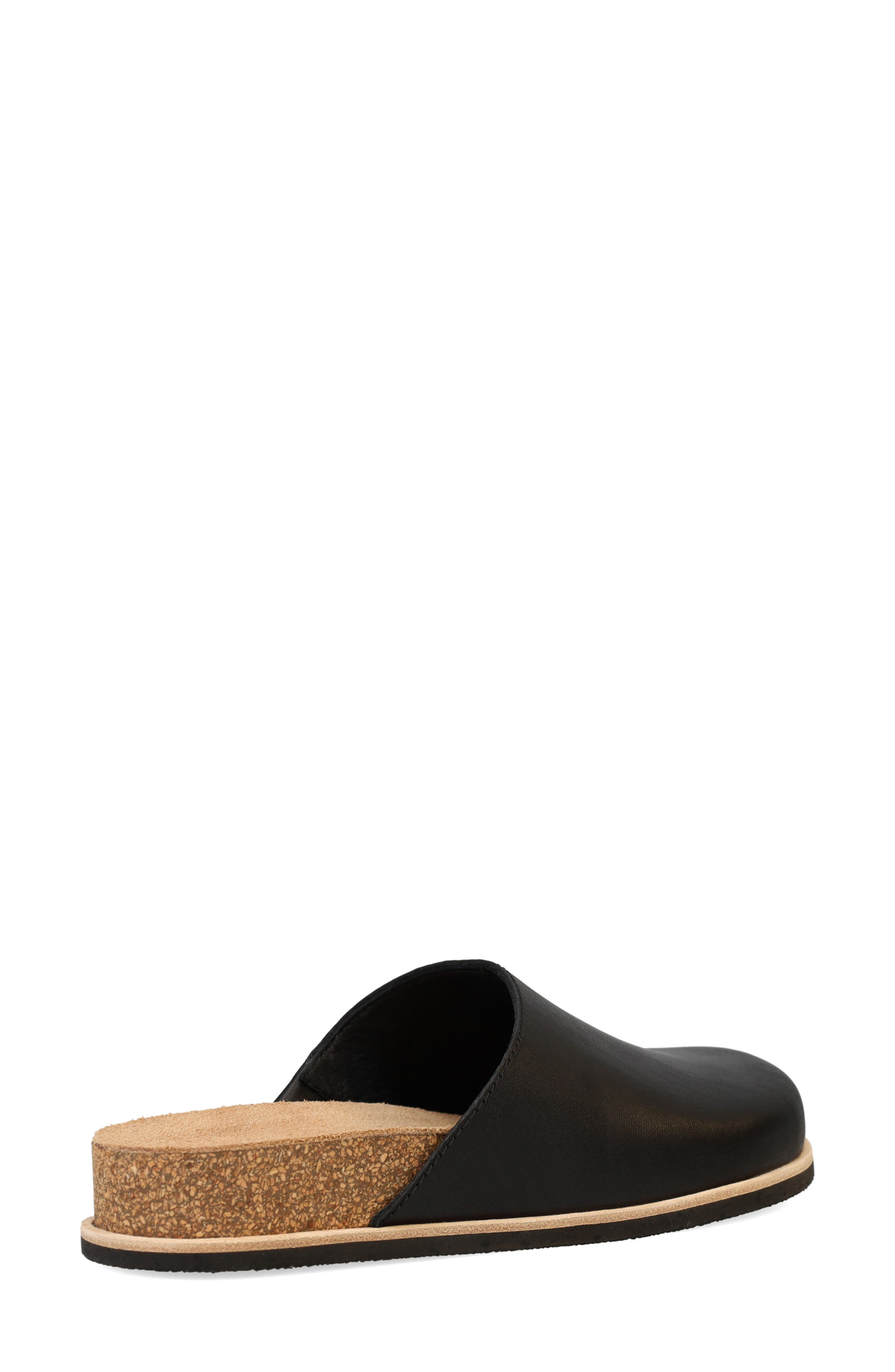 Eileen Fisher Bios Clog, Alternate, color, 