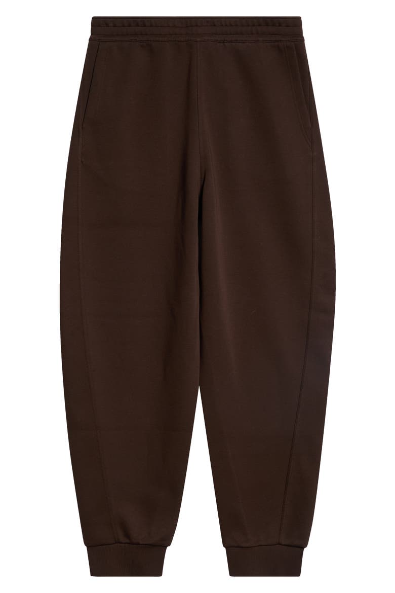 Couture Seam Joggers, Alternate, color, BROWN