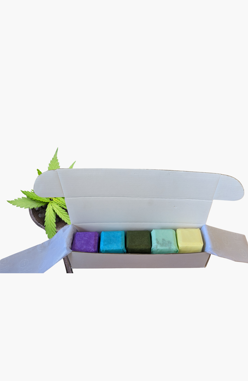 Lizush Cbd Shower Steamers Gift Set With Cbd In Assorted