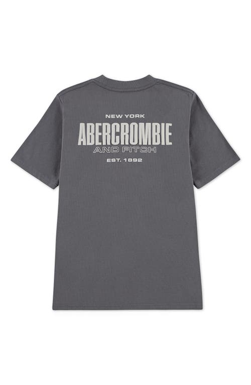 Abercrombie Kids Kids' 1892 Logo Boxy Graphic T-shirt In Gray