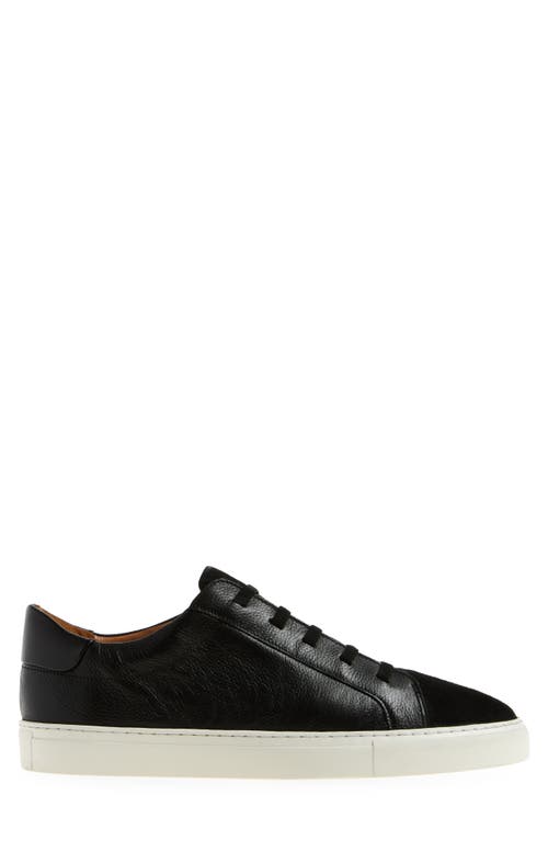 Allen Edmonds Fisher Sneaker