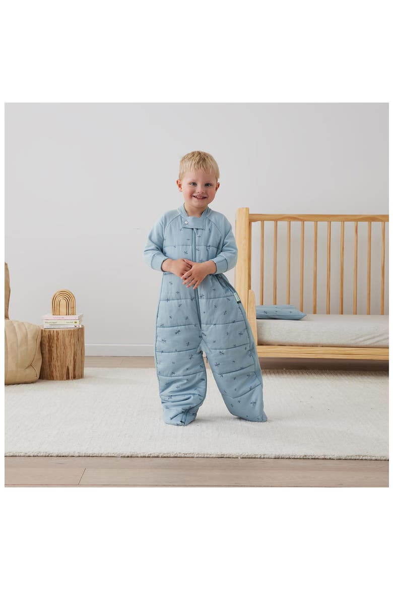 2.5 TOG Convertible Sleep Suit Bag, Alternate, color, DRAGONFLIES