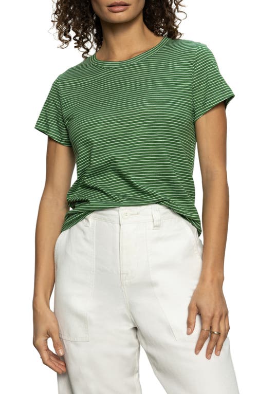 Shop Sanctuary The Perfect T-shirt In Palm Chalk